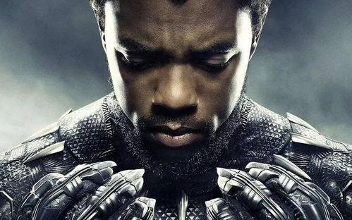 黑豹搞笑吐槽,笑谈英雄，揭秘超级英雄背后的搞笑吐槽