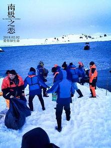 南极之恋背景,穿越南极的浪漫冒险之旅