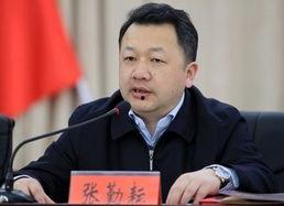 张勤耘 背景,从平凡走向卓越的奋斗历程